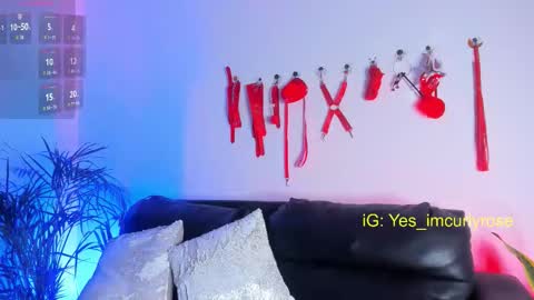 Snapshot of curlyrose_ chatting on 24, 11, 2025 Rose online show from 24, 11, 2025