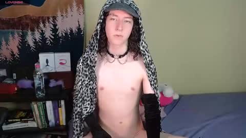 Snapshot of curlyytwink chatting on 19, 12, 2024 Noah online show from 19, 12, 2024
