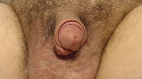 Snapshot of curve66 chatting on 6, 2, 2025 curve66 online show from 6, 2, 2025