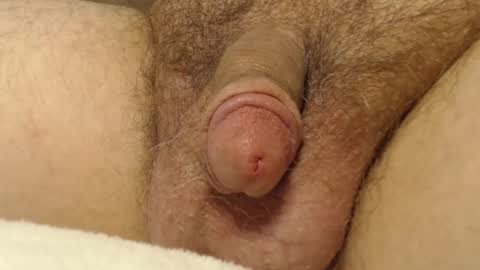 Snapshot of curve66 chatting on 16, 10, 2025 curve66 online show from 16, 10, 2025