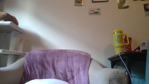 Cate online show from 21, 1, 2025