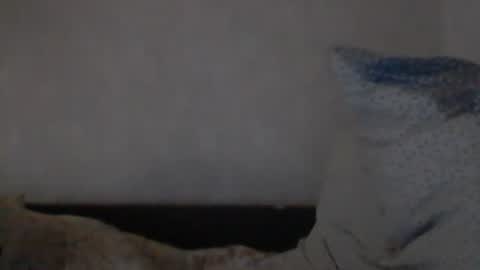 cutekattie online show from 8, 12, 2024