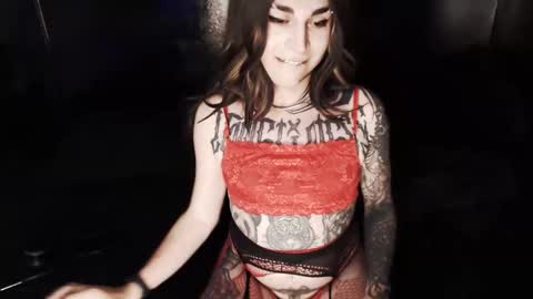 Snapshot of cybertrouble_ chatting on 26, 2, 2026 Nikki online show from 26, 2, 2026