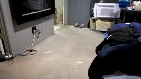 da941987 online show from 2, 12, 2024