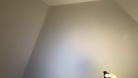 dachdecker7269 online show from 9, 2, 2026