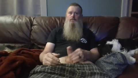 dachshund01 online show from 13, 10, 2025