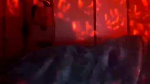 Snapshot of daddett chatting on 18, 12, 2025 Daddett iS Wett online show from 18, 12, 2025