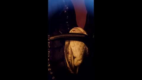 Snapshot of daddett chatting on 17, 3, 2026 Daddett iS Wett online show from 17, 3, 2026