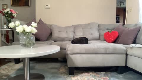 Belle  Email daddydaycarecb  online show from 22, 2, 2026