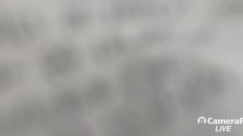 Snapshot of daddybigwhitecock chatting on 2, 11, 2025 Tommy online show from 2, 11, 2025