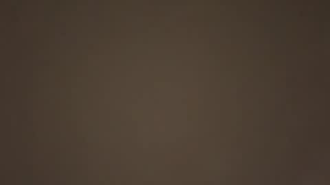 Daddy online show from 17, 1, 2026