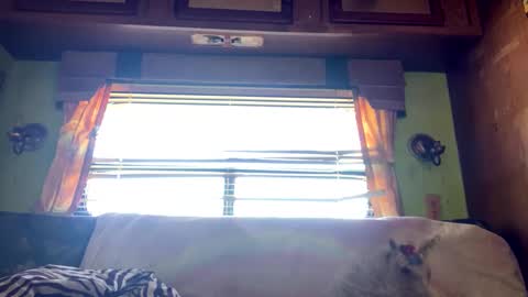 daddysangel1993 online show from 20, 1, 2025