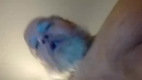 Snapshot of daddyshome4115 chatting on 20, 12, 2025 Daddyshome4115 online show from 20, 12, 2025