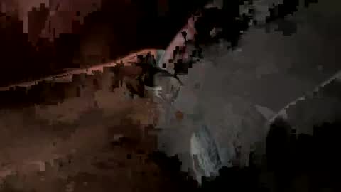 daddywhite88 online show from 5, 3, 2025