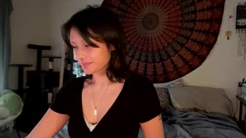 Daisy online show from 3, 2, 2026