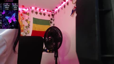 Dakko online show from 8, 1, 2026