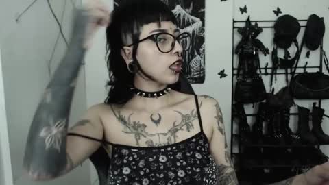 dakota online show from 24, 10, 2025