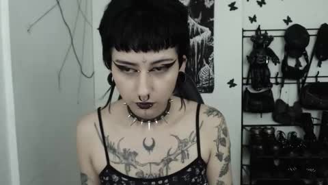 dakota online show from 22, 11, 2025