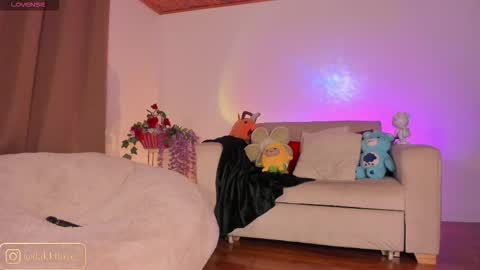 Snapshot of dakota_lovee chatting on 6, 2, 2026 Dakota Follow my IG dakkilove online show from 6, 2, 2026