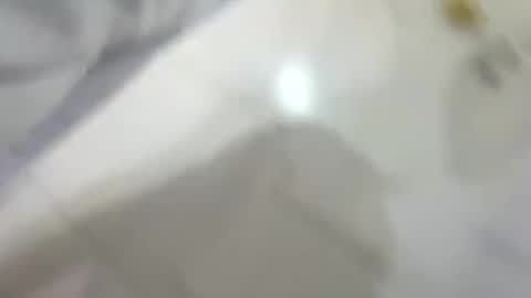 dakovid33 online show from 14, 1, 2026