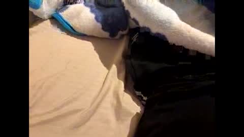 damsobigdick2 online show from 9, 3, 2026