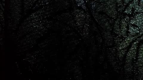 Damson online show from 28, 9, 2025