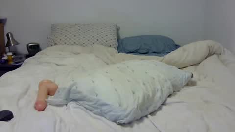 Snapshot of dandyhandys chatting on 7, 2, 2025 Andy online show from 7, 2, 2025