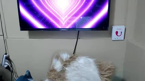 Danica online show from 15, 12, 2025