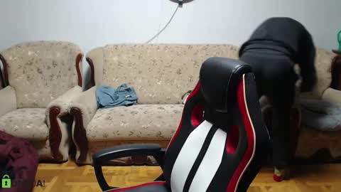 Snapshot of daniel_padalecki chatting on 9, 2, 2025 Daniel online show from 9, 2, 2025