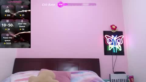 K A R O L online show from 12, 1, 2026