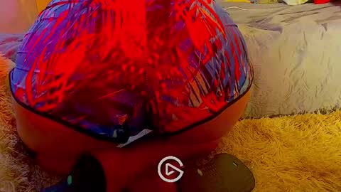 dandeb online show from 26, 1, 2025