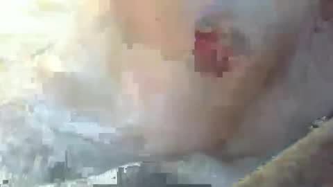 dankz4two0 online show from 11, 1, 2025