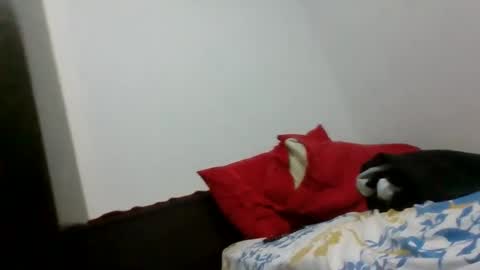 dannoninho online show from 22, 3, 2026