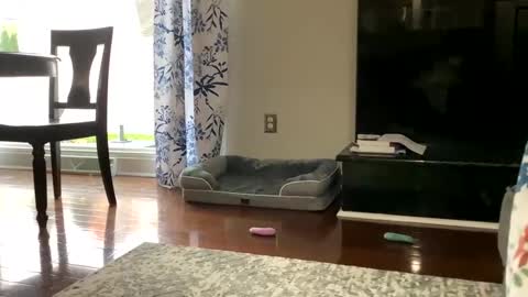 Snapshot of dannyboy621 chatting on 25, 10, 2025 dannyboy621 online show from 25, 10, 2025