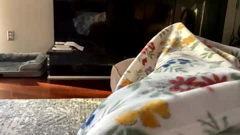 Snapshot of dannyboy621 chatting on 26, 10, 2025 dannyboy621 online show from 26, 10, 2025