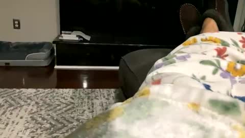 Snapshot of dannyboy621 chatting on 30, 10, 2025 dannyboy621 online show from 30, 10, 2025