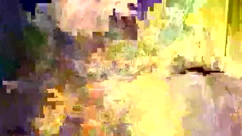 dano9696 online show from 5, 12, 2025