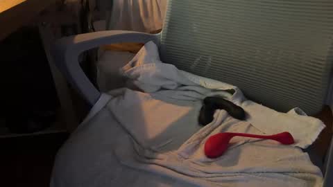 Dante online show from 18, 11, 2025