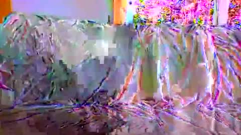 Snapshot of danwick69 chatting on 17, 9, 2025 danwick69 online show from 17, 9, 2025