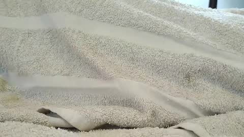 dapppper online show from 18, 9, 2025