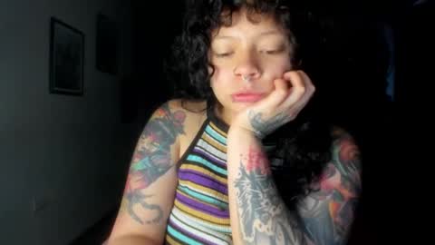 miau online show from 6, 1, 2026