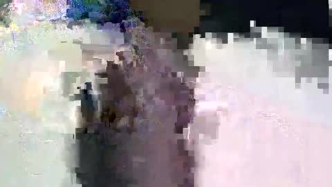 dark_princess1 online show from 3, 2, 2026