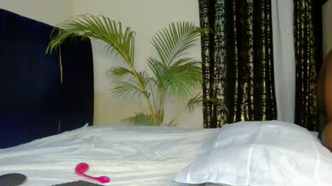 Tiff online show from 23, 12, 2025