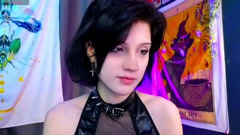 Vamp  online show from 28, 12, 2024
