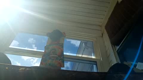 Snapshot of darkbeauty1602 chatting on 12, 9, 2025 darkbeauty1602 online show from 12, 9, 2025