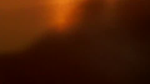 davdao3 online show from 22, 12, 2025