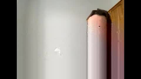 davepil29 online show from 21, 12, 2025