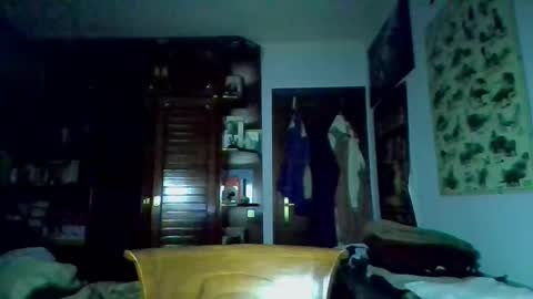 david33333333 online show from 9, 3, 2025