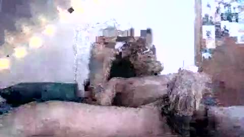 David Berry online show from 16, 2, 2025