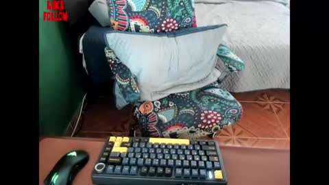 David online show from 2, 4, 2026